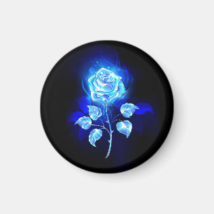Brennen der blauen Rose Magnet