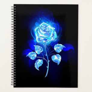 Brennen der blauen Rose Planer