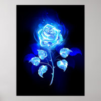 Brennen der blauen Rose