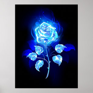 Brennen der blauen Rose Poster