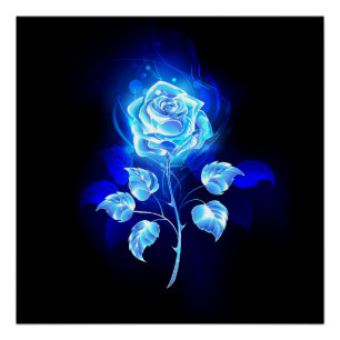 Brennen der blauen Rose Poster