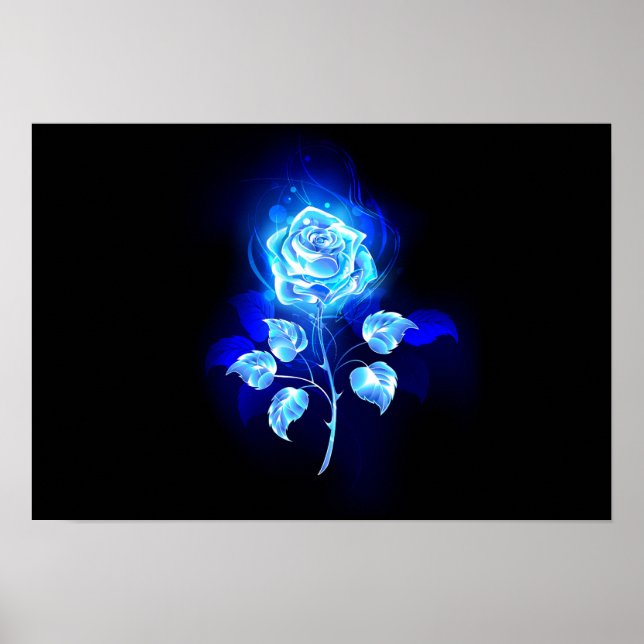 Brennen der blauen Rose Poster (Vorne)