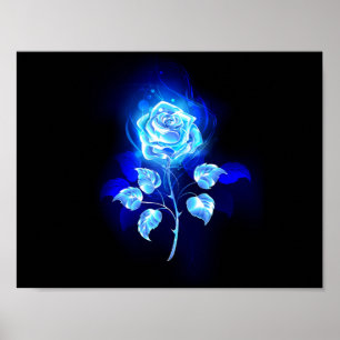 Brennen der blauen Rose Poster