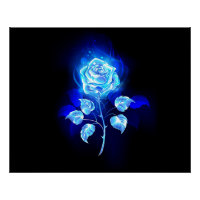 Brennen der blauen Rose