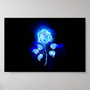Brennen der blauen Rose Poster