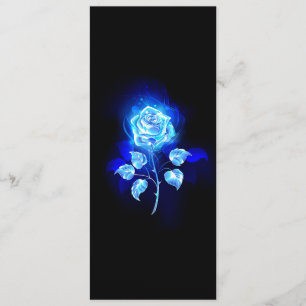 Brennen der blauen Rose Programm