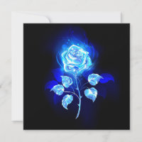 Brennen der blauen Rose