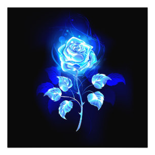 Brennende Blaue Rose Fotodruck