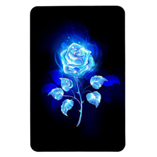 Brennende Blaue Rose Magnet