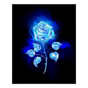 Brennende blaue Rose Poster
