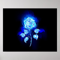 Brennende blaue Rose