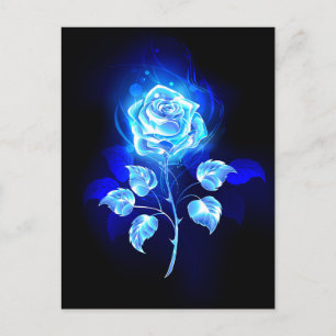 Brennende Blaue Rose Postkarte