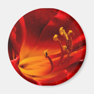 Brennende Lilie Magnet