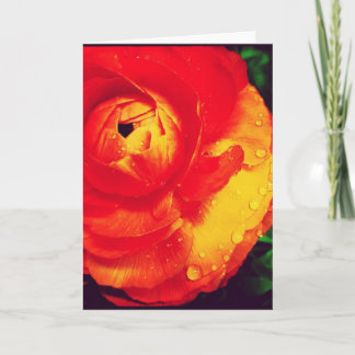 Brennende orange Ranunculus-Raum-Gruß-Karte Karte