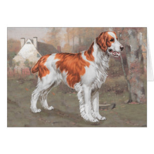 Bretagne auf dem Feld