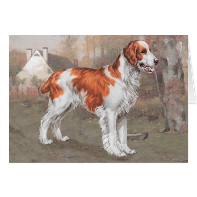 Bretagne auf dem Feld (Vorderseite (Horizontal))