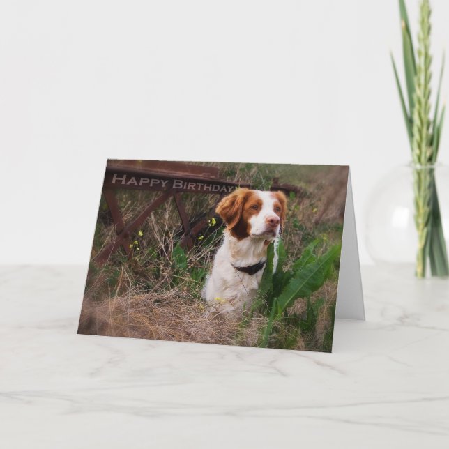 Bretagne-Geburtstags-Karte Karte (Vorderseite)