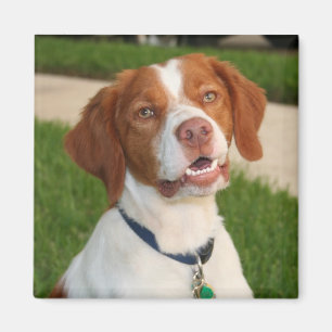 Bretagne-Magnet Magnet