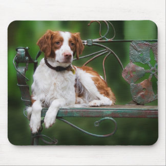 Bretagne Mousepad