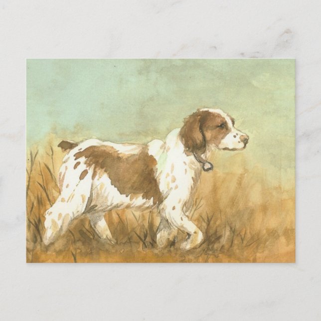 "Bretagne Spaniel" Art Reproduction Postcard Postkarte (Vorderseite)