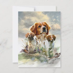 Bretagne-Spaniels, Französische Bretagne, Vogelhun Postkarte