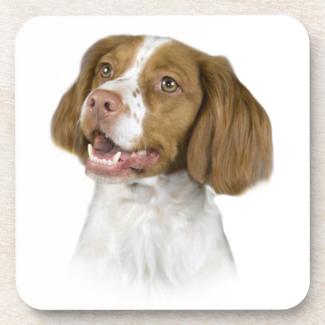 Bretagne Untersetzer (Vorderseite)