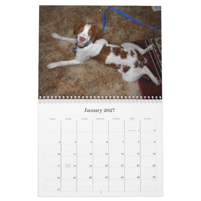 Bretagne-Welpen-Kalender 2009 Kalender (Jan 2027)