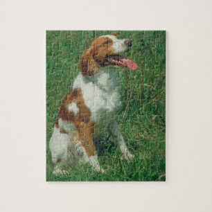Bretagnespaniel-Hundepuzzlespiel Puzzle