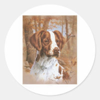 BretagneSpaniel