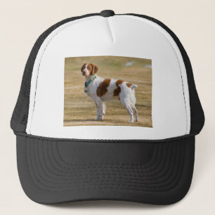 BretagneSpaniel Truckerkappe