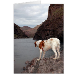 BRETANIEN ÜBER DEN COLORADO-FLUSS