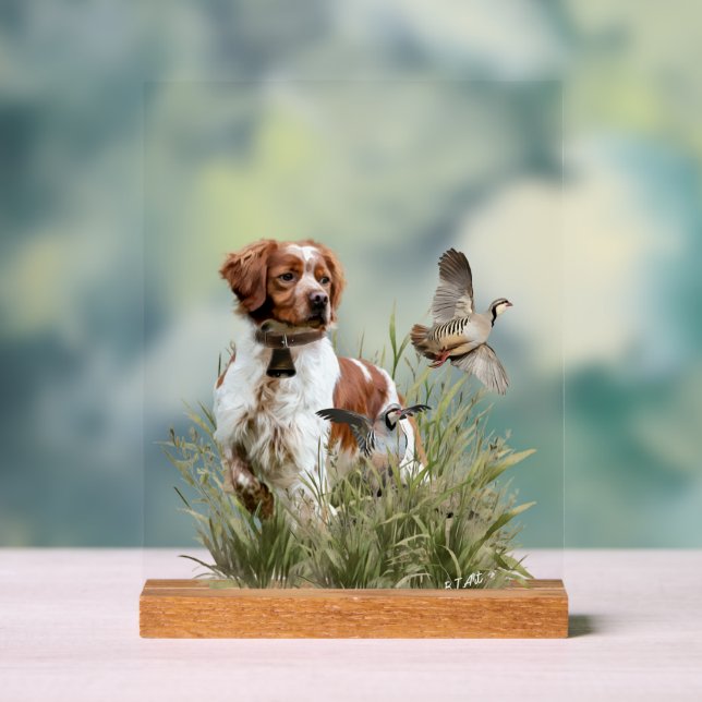Bretonischer Spaniel Acrylschild (Neutral)