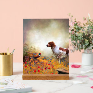 Bretonischer Spaniel Acrylschild