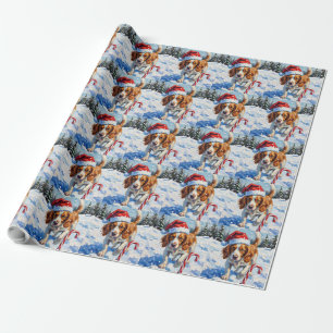 Bretonischer Spaniel Hund zeigt auf Weihnachtsbonb Geschenkpapier