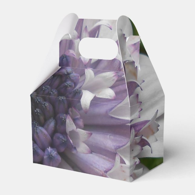 Brett Geschenkschachtel (Vorderseite)