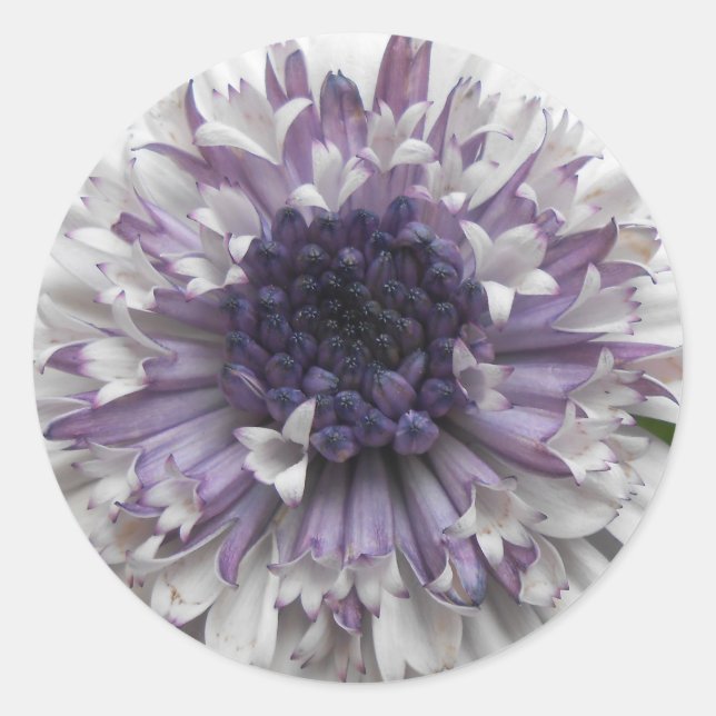 Brett Runder Aufkleber (Vorderseite)