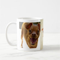 Bretter-Tasse
