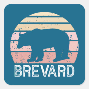 Brevard North Carolina Retro Bear Quadratischer Aufkleber