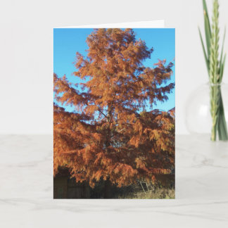 Brian's Tree, AutumnGeem Karte