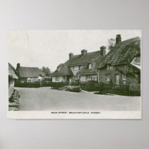 Briantspuddle, Vintager Postkartendruck Dorsets Poster