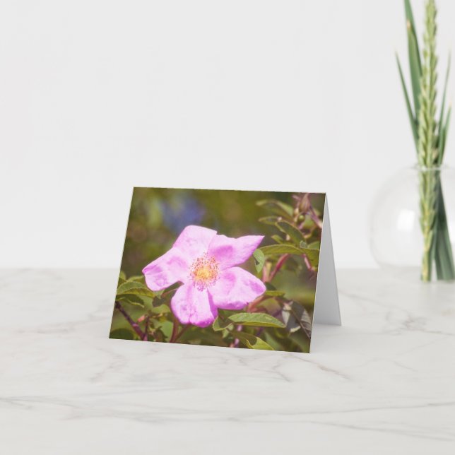 Briar Rose Karte (Vorderseite)