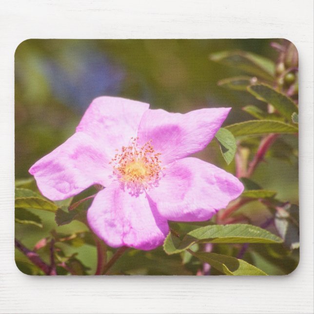 Briar Rose Mousepad (Vorne)