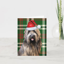 Briard Christmas Dog Green Kariert Christmas Feiertagskarte
