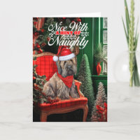 Briard Christmas Dog Naughty oder Nice