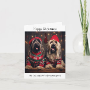 Briard Dogs Christmas Card Karte