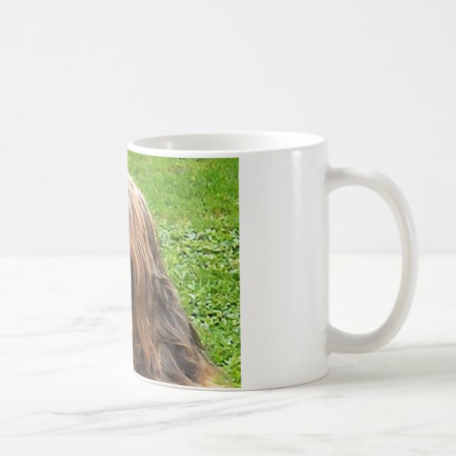 Briard fauve tasse (Rechts)