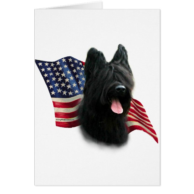 Briard Flag (Vorne)