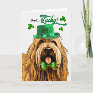 Briard Hund fühlt sich am St. Patrick's Day glückl Feiertagskarte