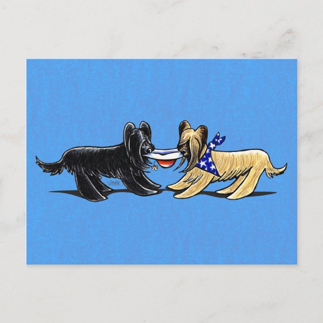Briard Mad hasst Off-Leash Art™ Postkarte (Vorderseite)