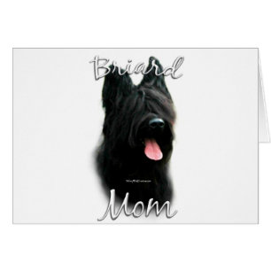 Briard Mama 2